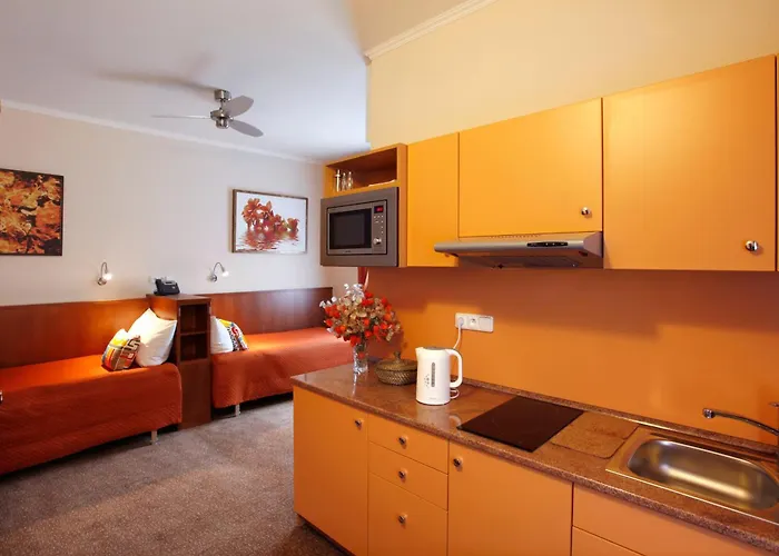 애니데이 프라하